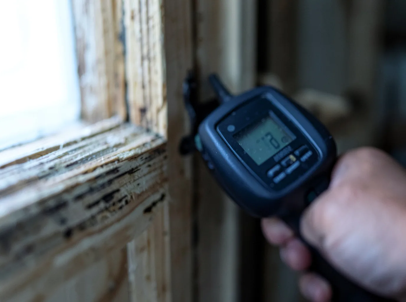 Ceiling Water Damage Repair in Cedar Springs, MI